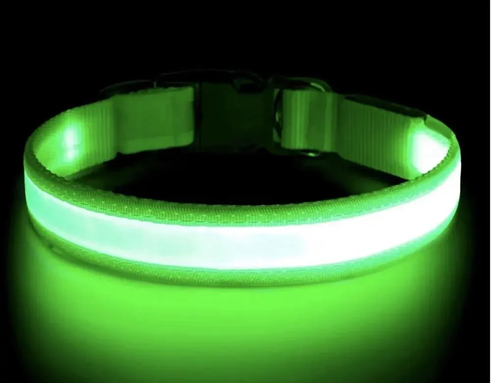 Rechargeable Bright Safety Pet Collar for Cats Small Dogs Green, X-Small